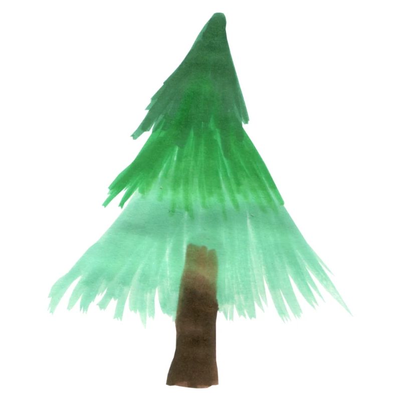 Arbre de Noël