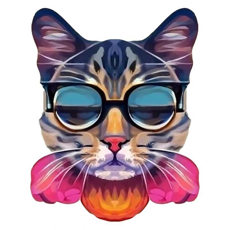 Klasse Katze mit Sonnenbrille