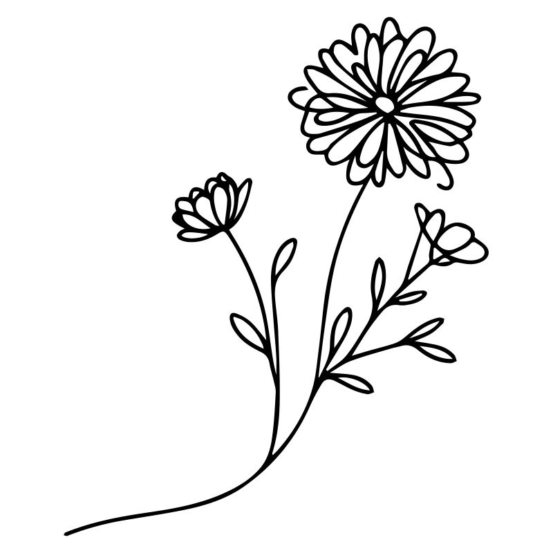 Marguerite Magic : Fleurs en filigrane dans le dessin au trait