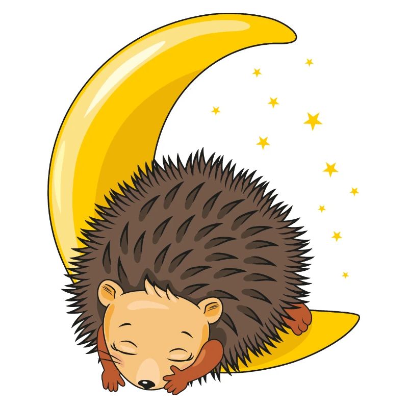 Cute hedgehog sleeping on the moon