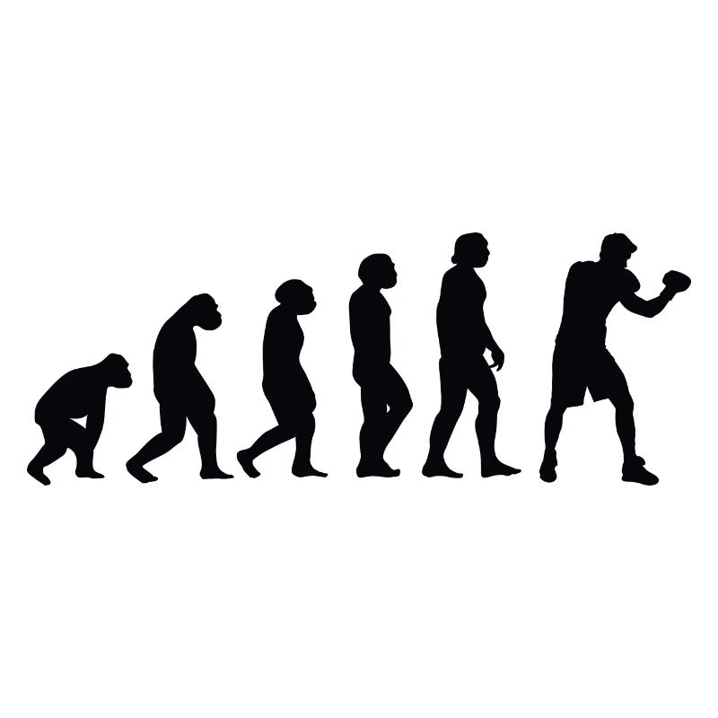 Evolution Boxe - Bo