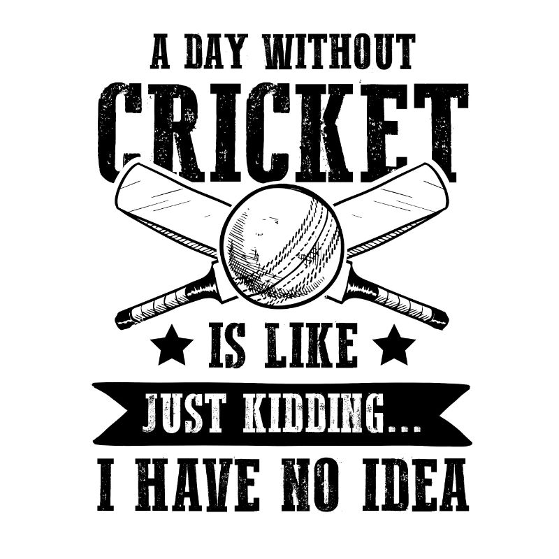 Équipe de cricket