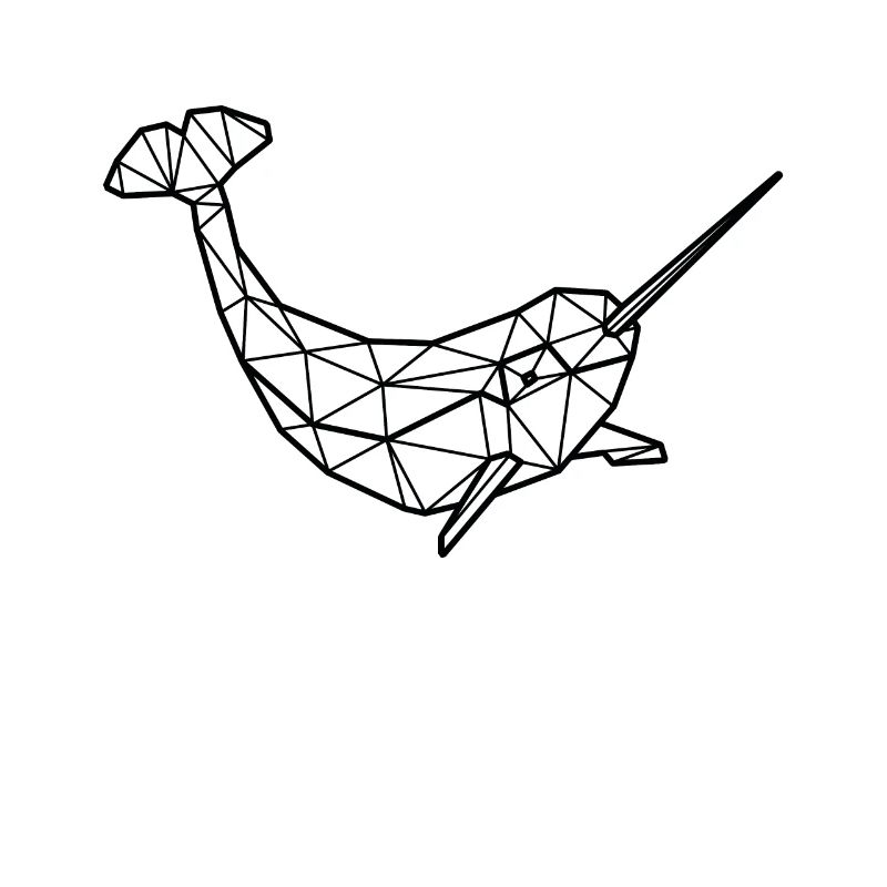 Polygone narval