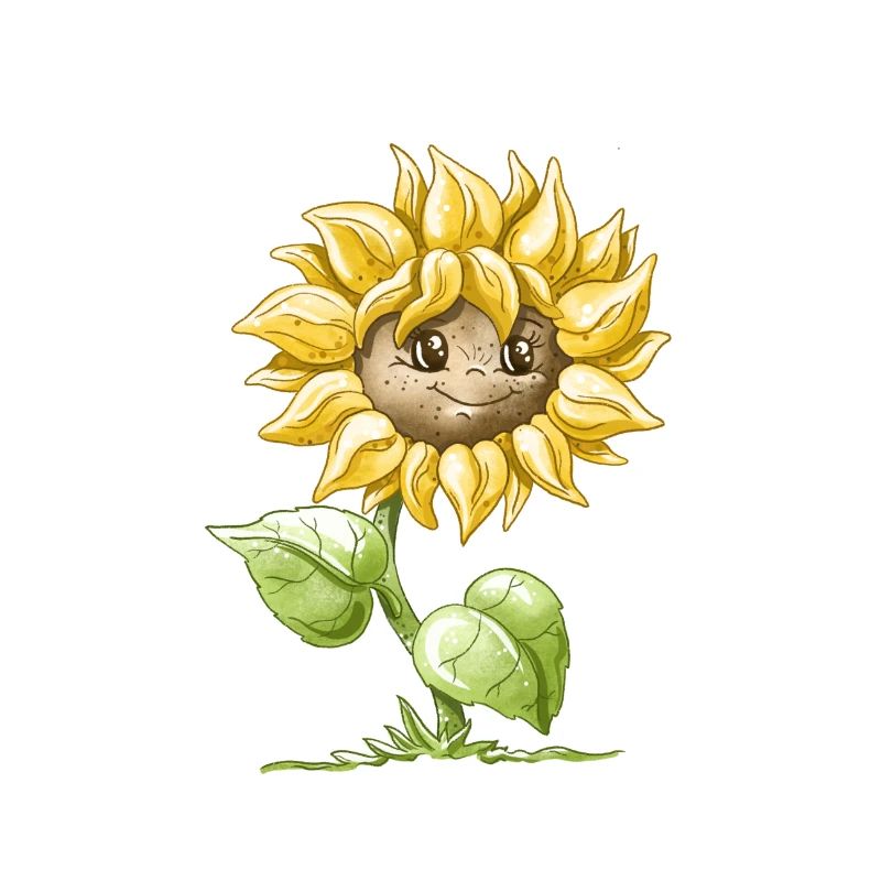 Sonnenblume