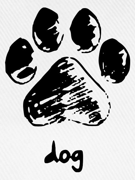 Dog paw - Dog