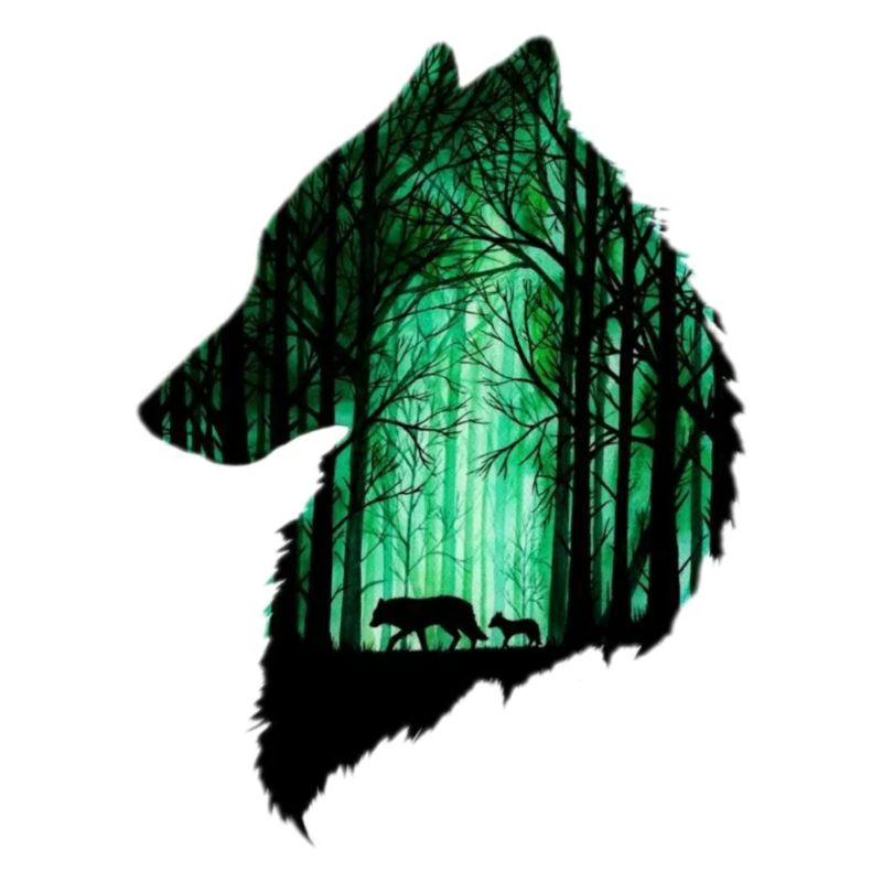 Le loup dans la forêt
