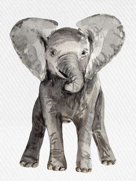 Éléphant bébé