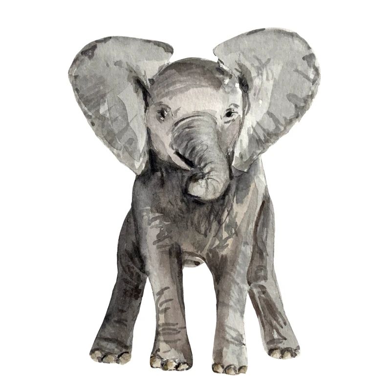 Éléphant bébé