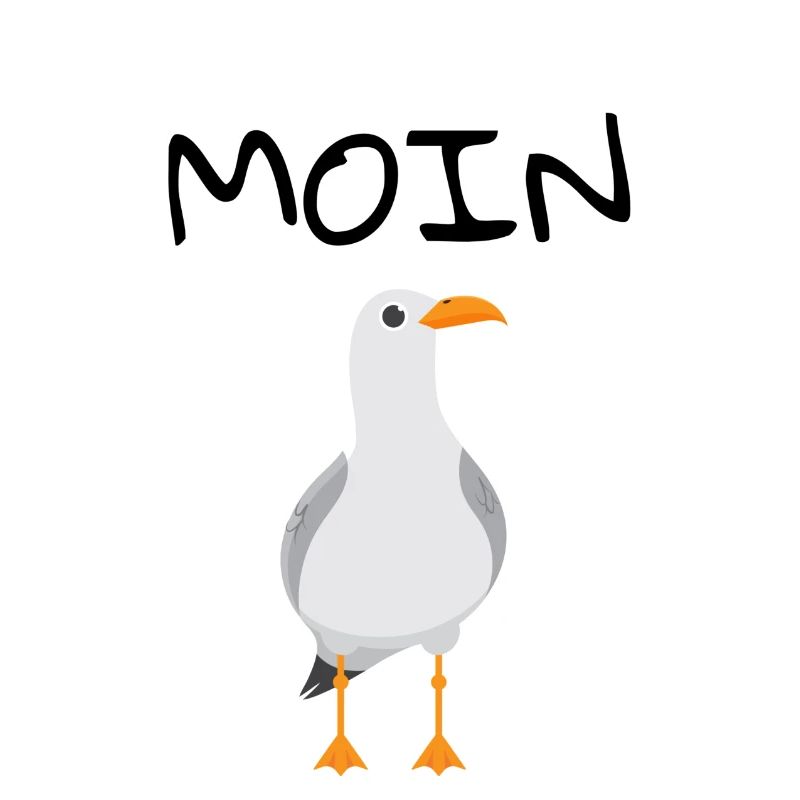 MOIN Möwe