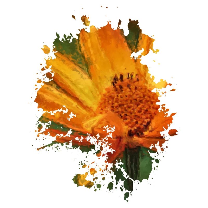 Blume