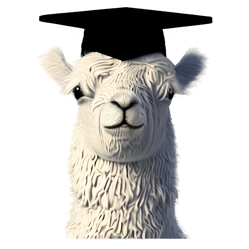 Schulabschluss Bachelor Studium Absolvent Alpaka