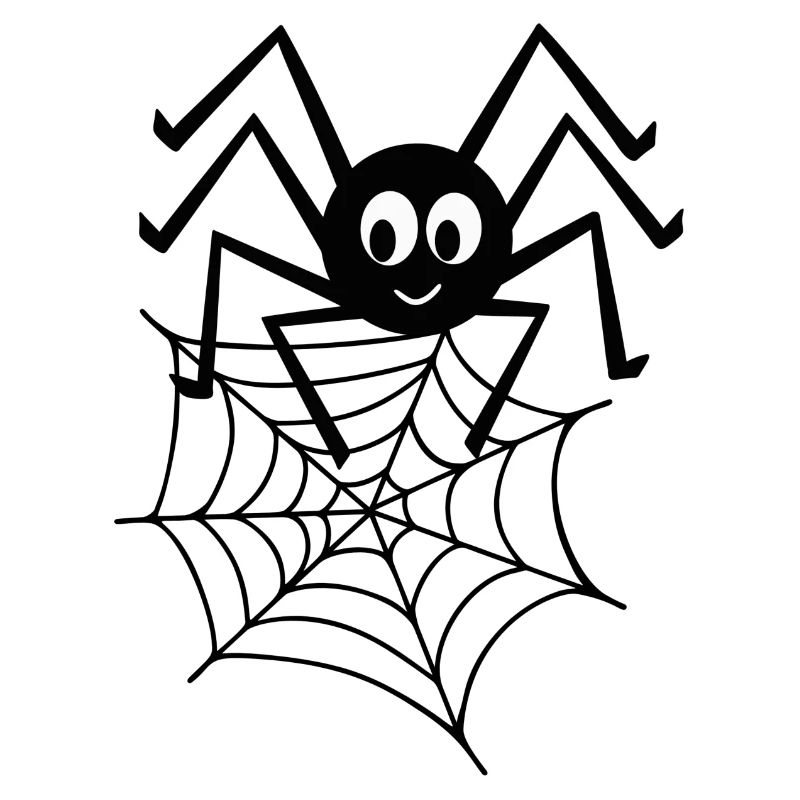 Spinne mit Netz