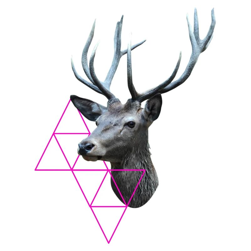 Hipster Hirsch