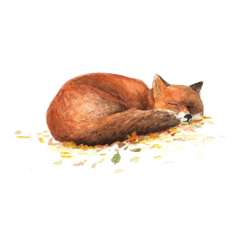 Fuchs
