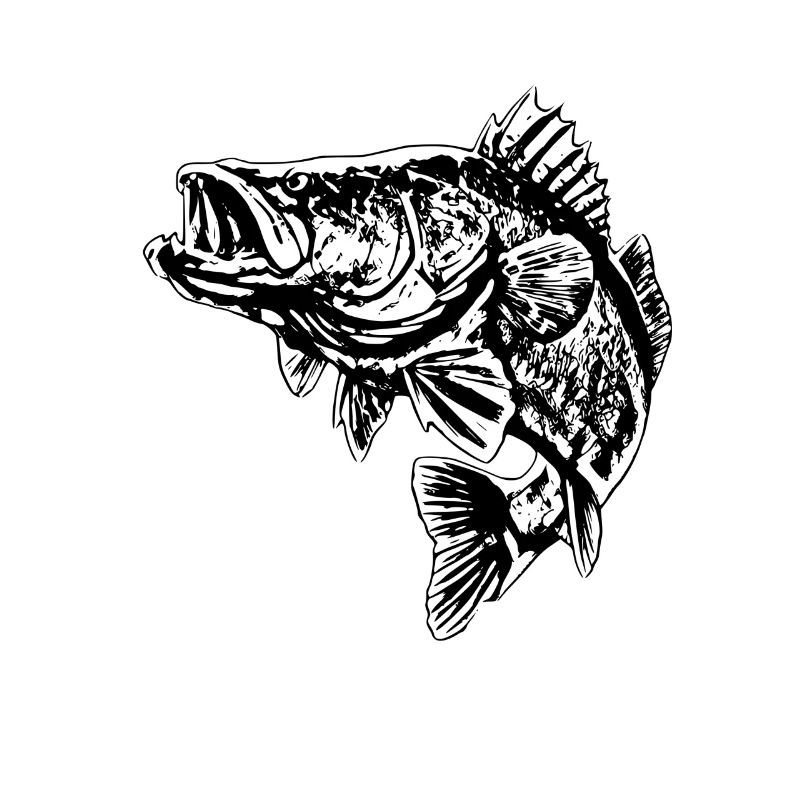 Fisch