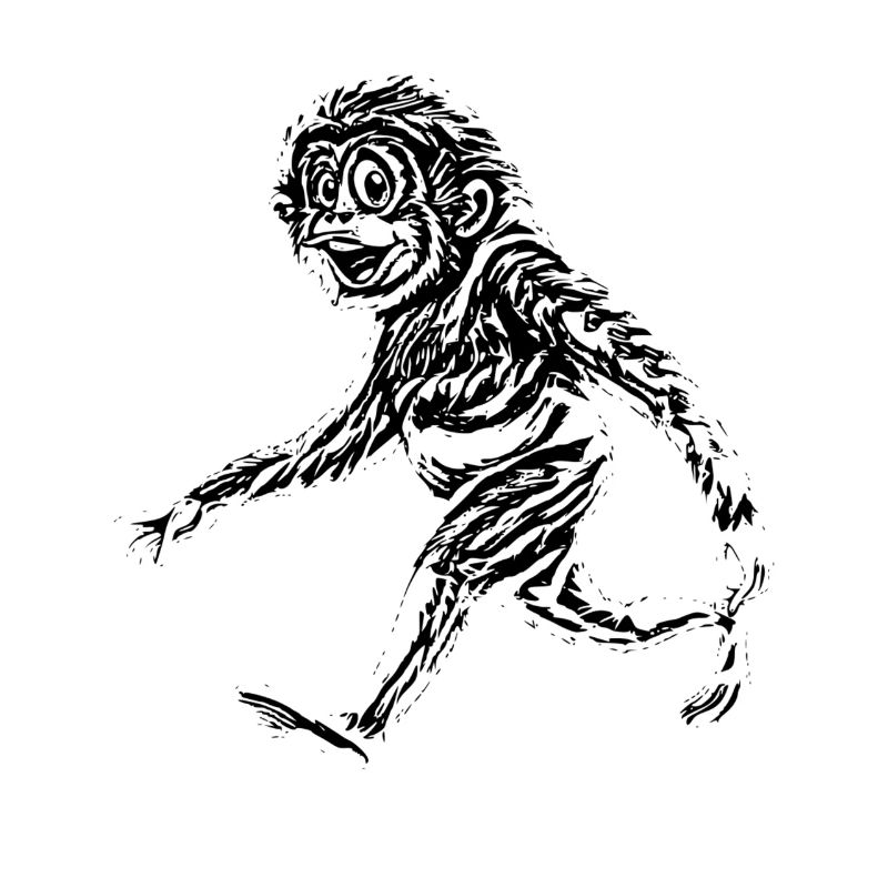 monkey