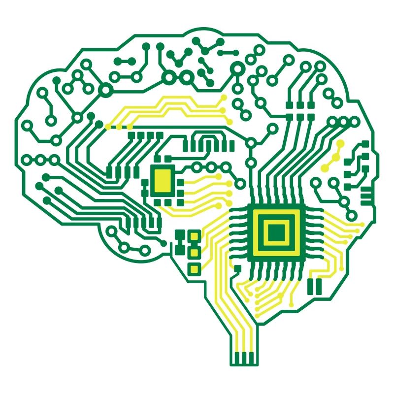Brain