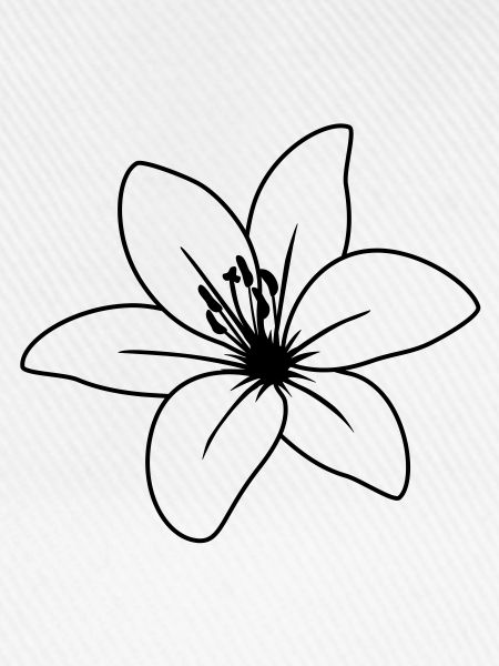 blume2_lilie_uea_1fb