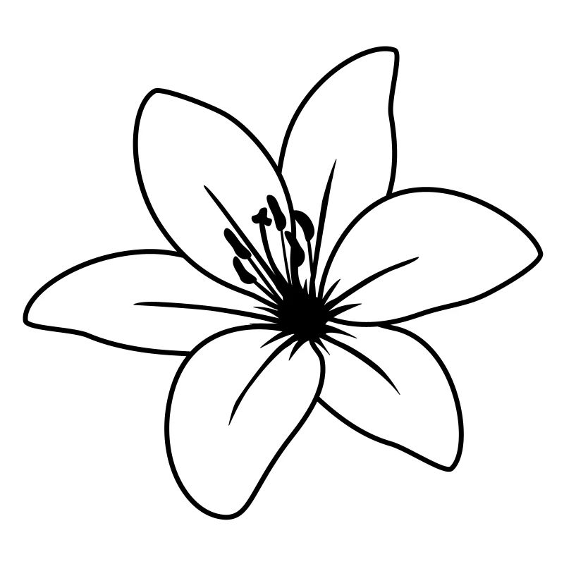 blume2_lilie_uea_1fb
