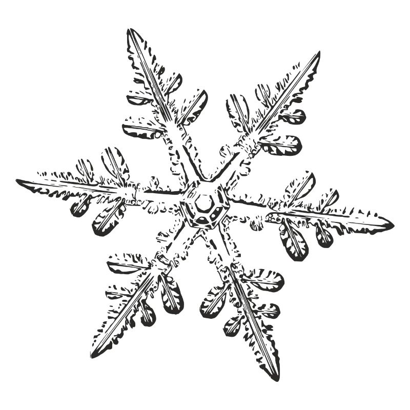 snowflake 8 black