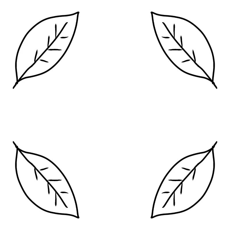 Leaf Four Leaves Frame Shape Nature