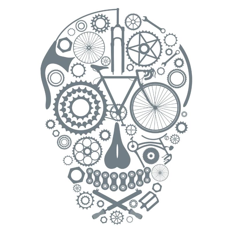 Bicycle Skull grey