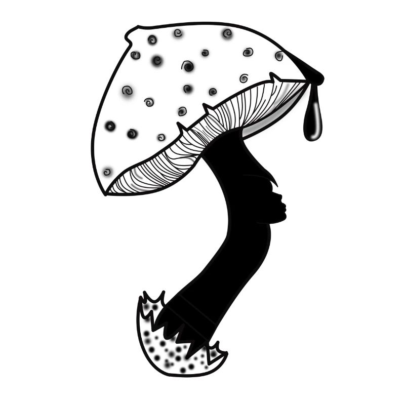 Pilz