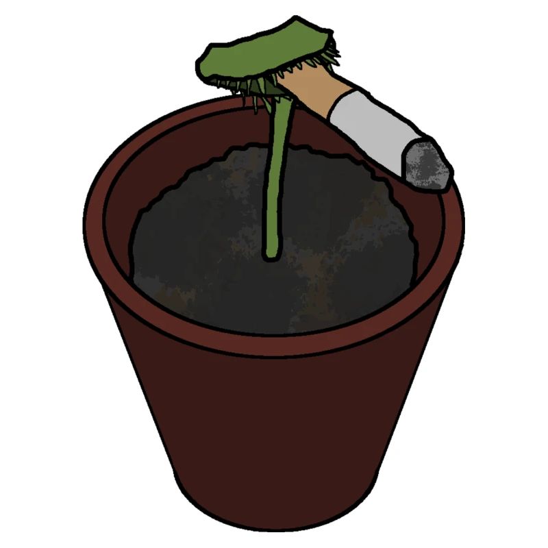 Venus Flytrap with Cigarette