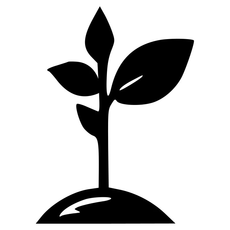 Pousse de plante