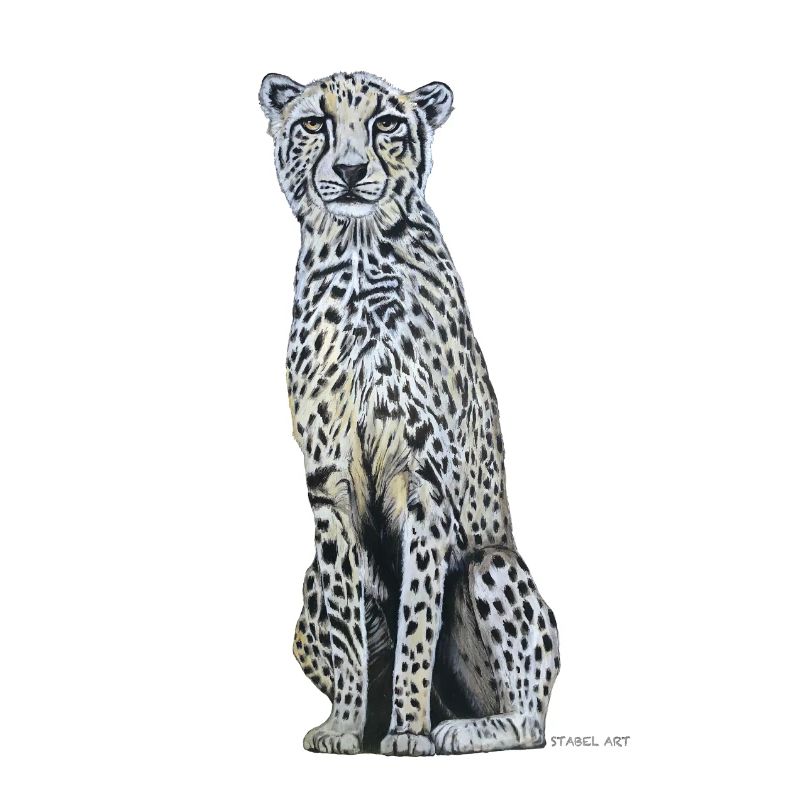 Guépard / Cheetah