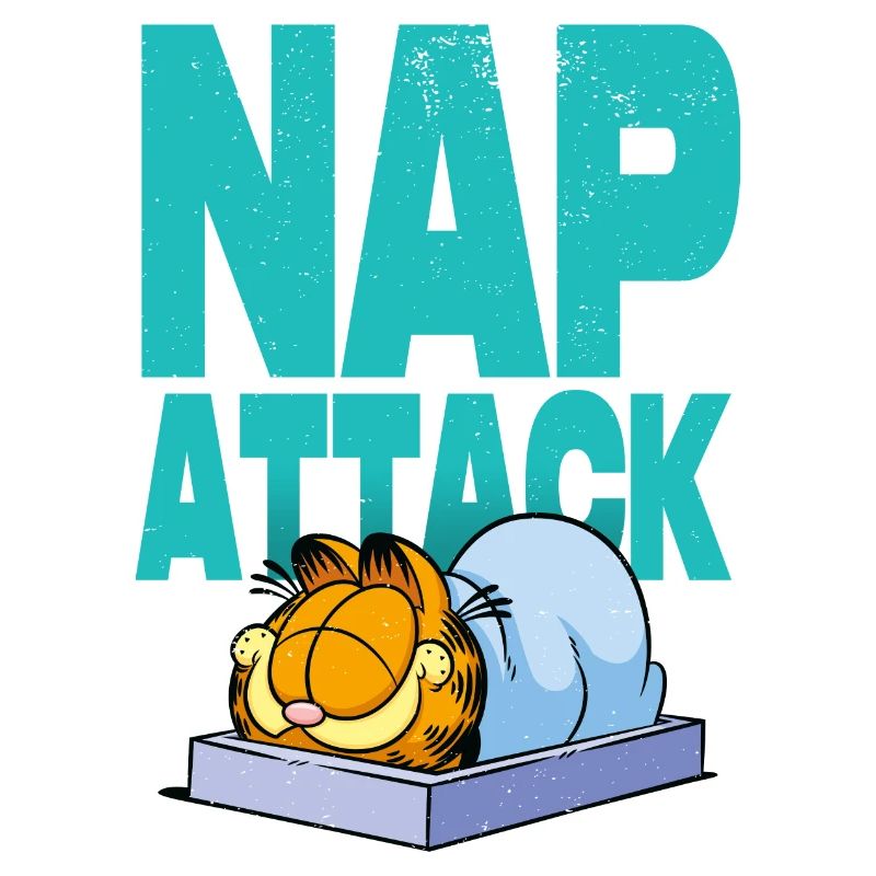 Garfield Nap Attack