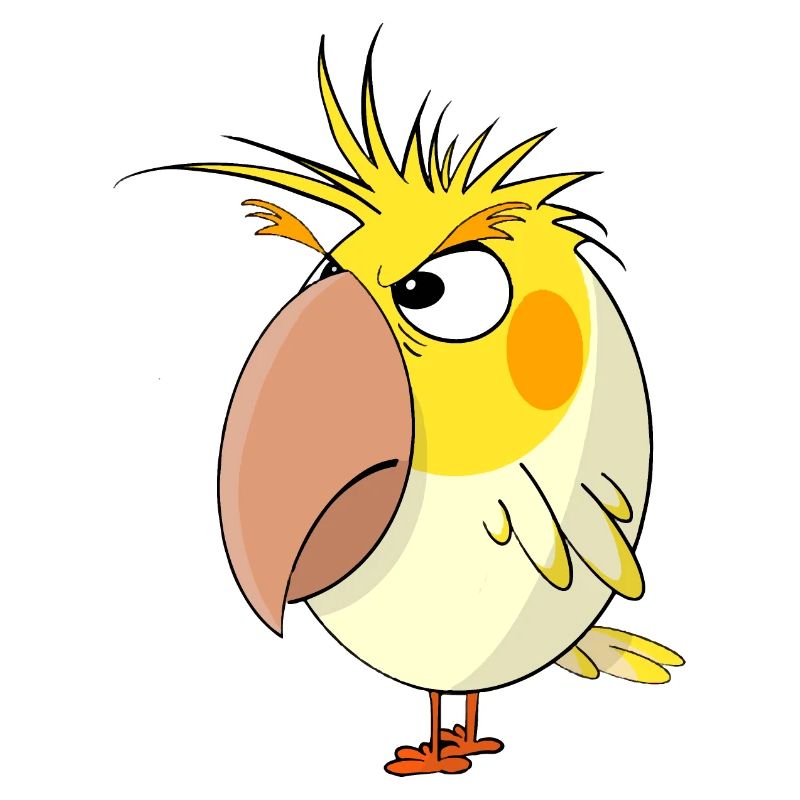 Wütende Calopsitta