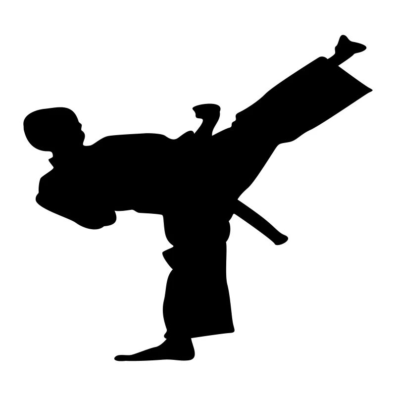 karatkid