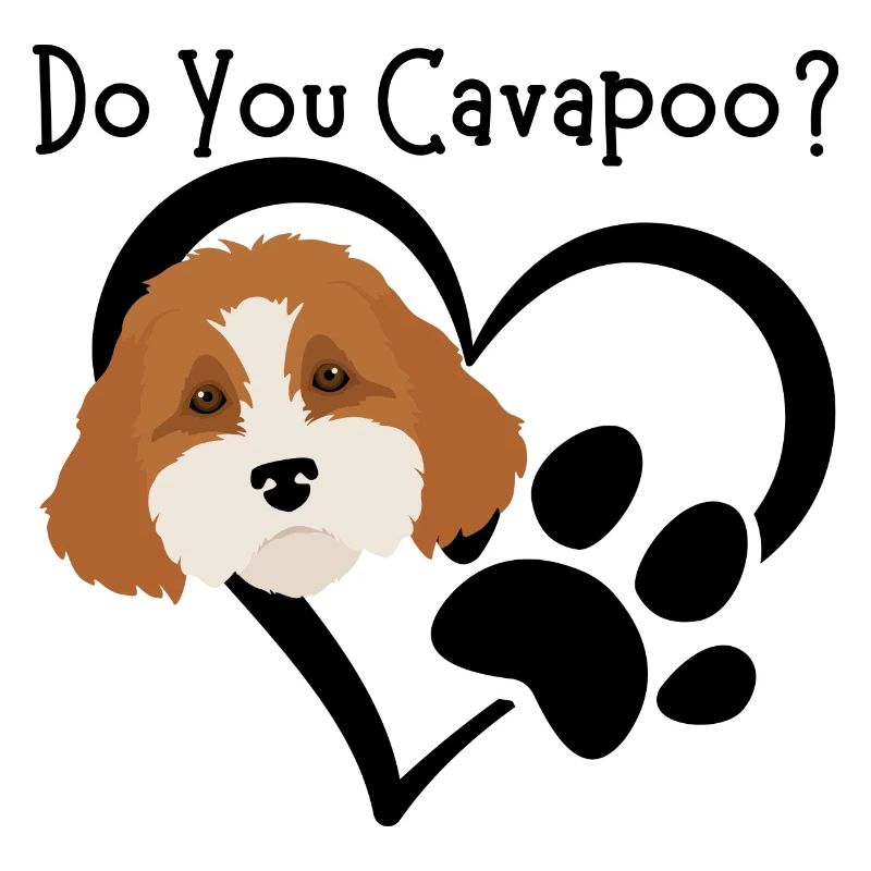 Do You Cavapoo?