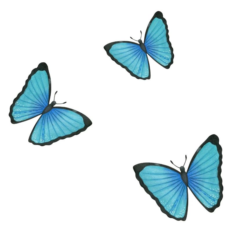 papillons bleus