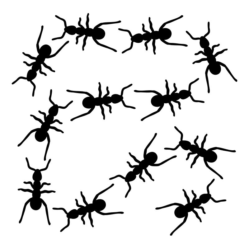 Fourmis