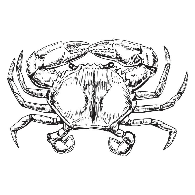 Krabbe