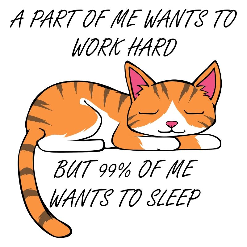 Arbeit oder Schlafen niedliche Katze Ausrede