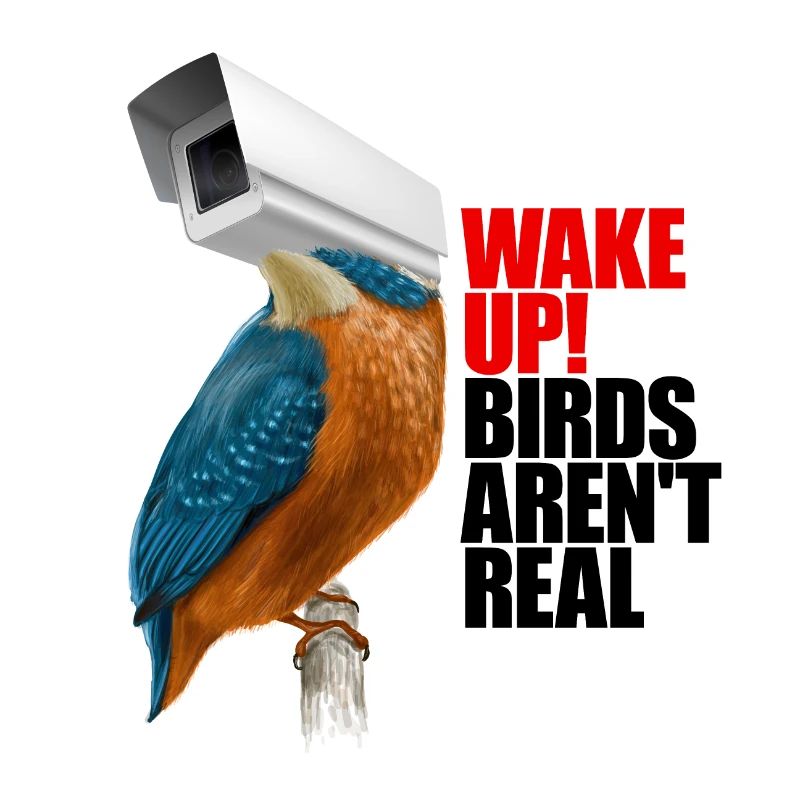 birds aren't real