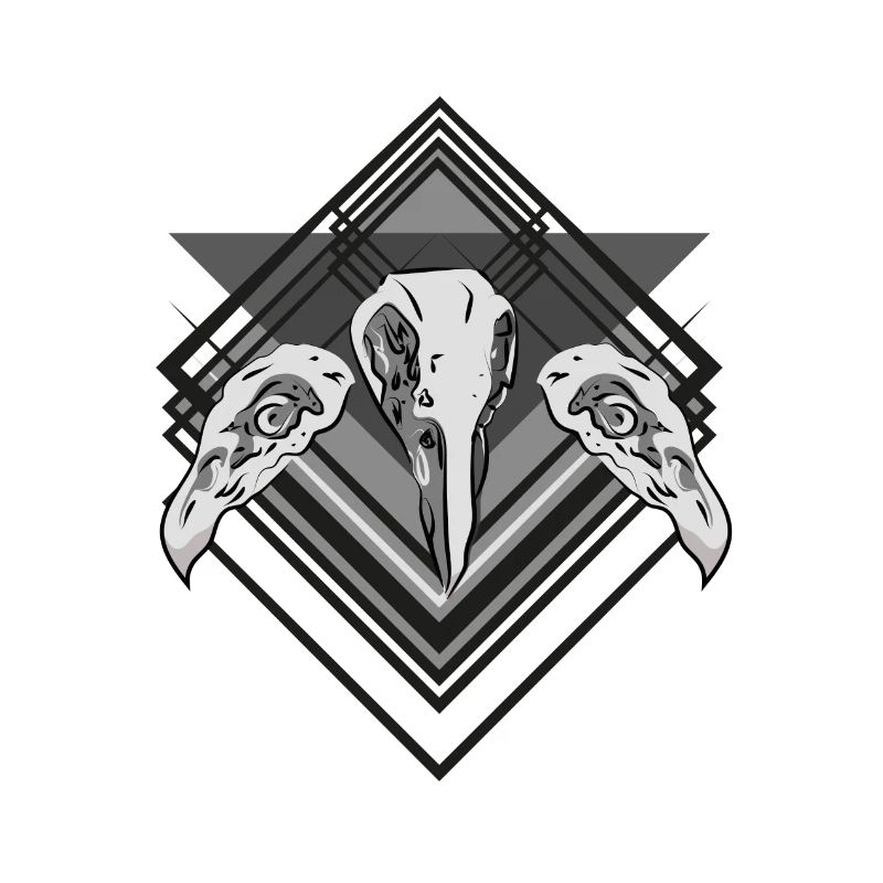 Bird Skull