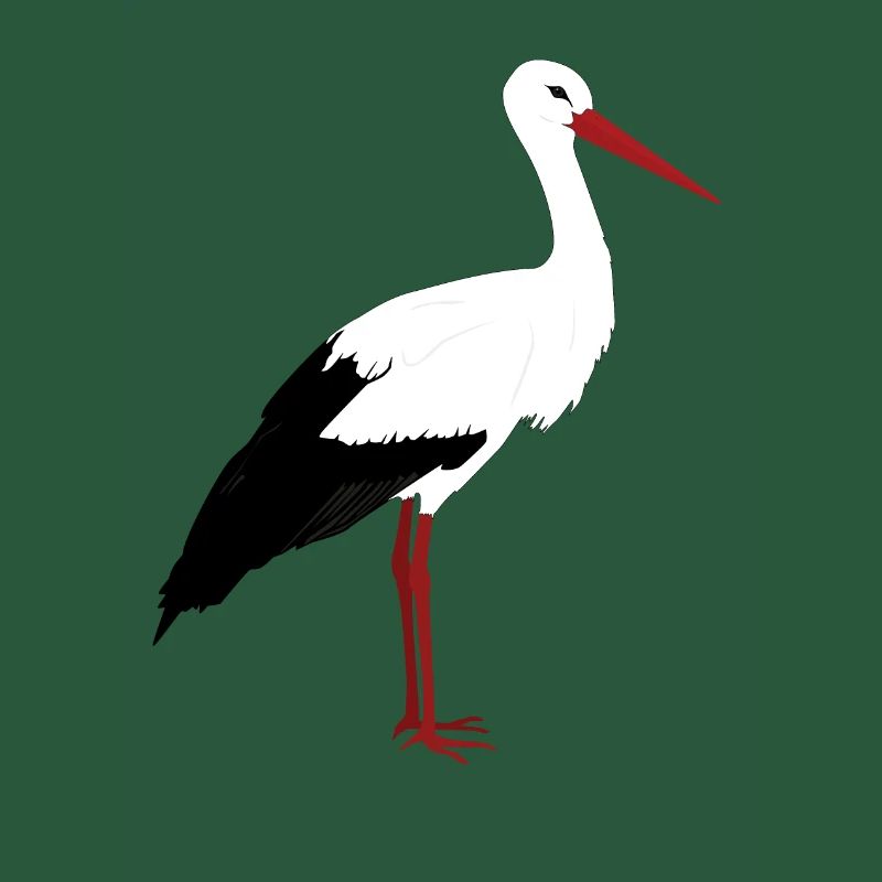 Stork stands
