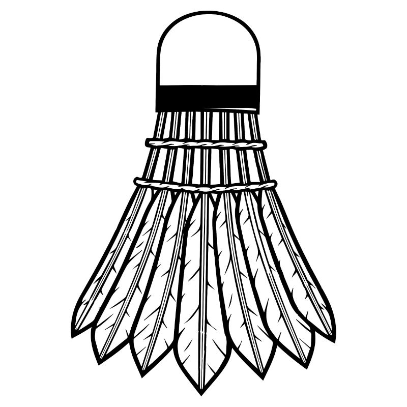 Badminton Racket Racketlon Shuttlecock