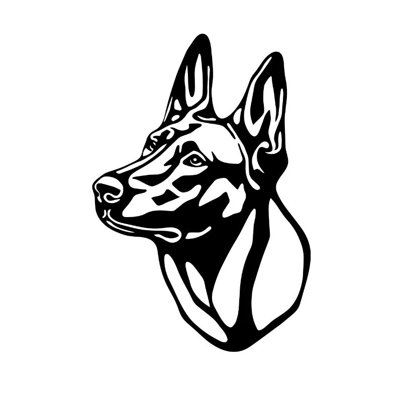 1 Malinois WHITEBackgroundohnetext