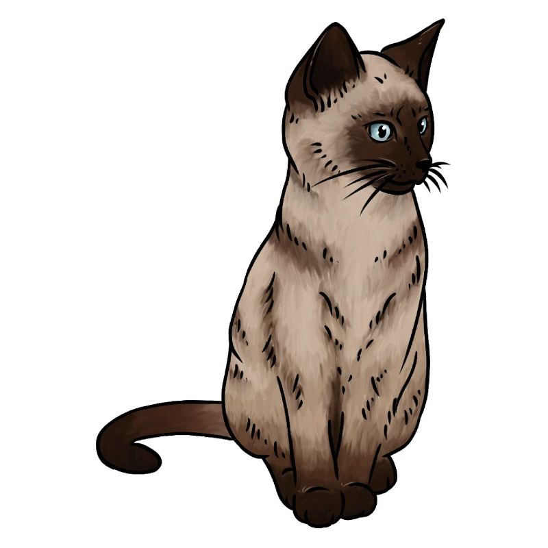 SiamEse Cat Siamese Cat