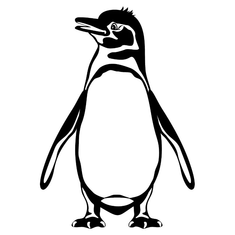 Galapagos-Pinguin
