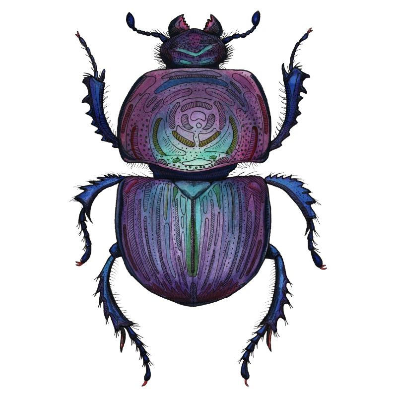 Big Beetle - Coléoptère géant