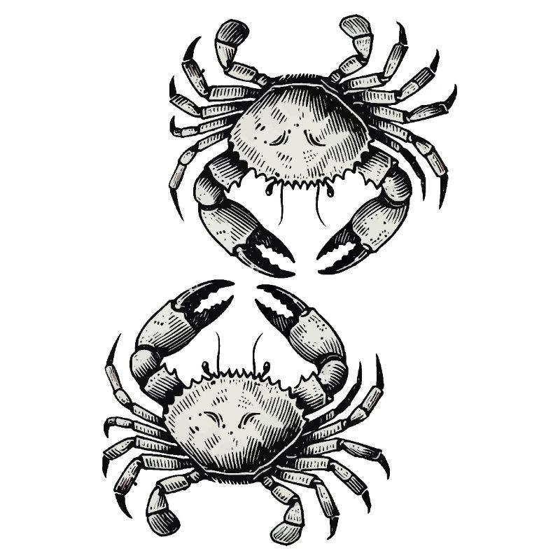 Crab Crab