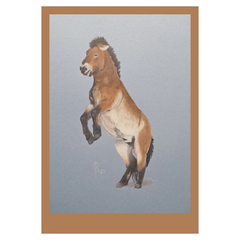 Hochreitendes Pferd