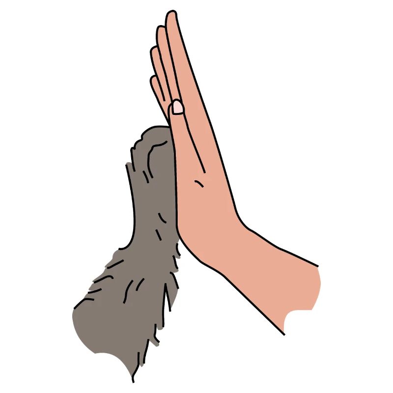 High Five Pfötchen - Beste Freunde Tierliebe