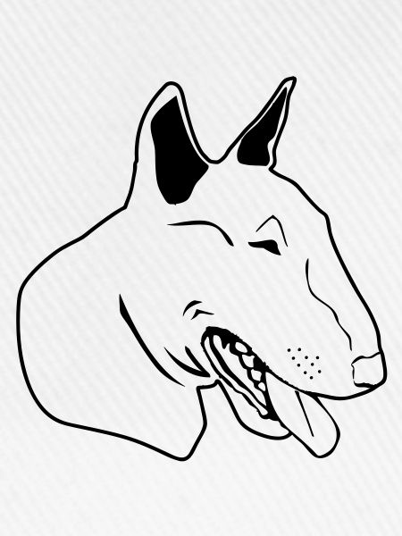 Bull terrier eu